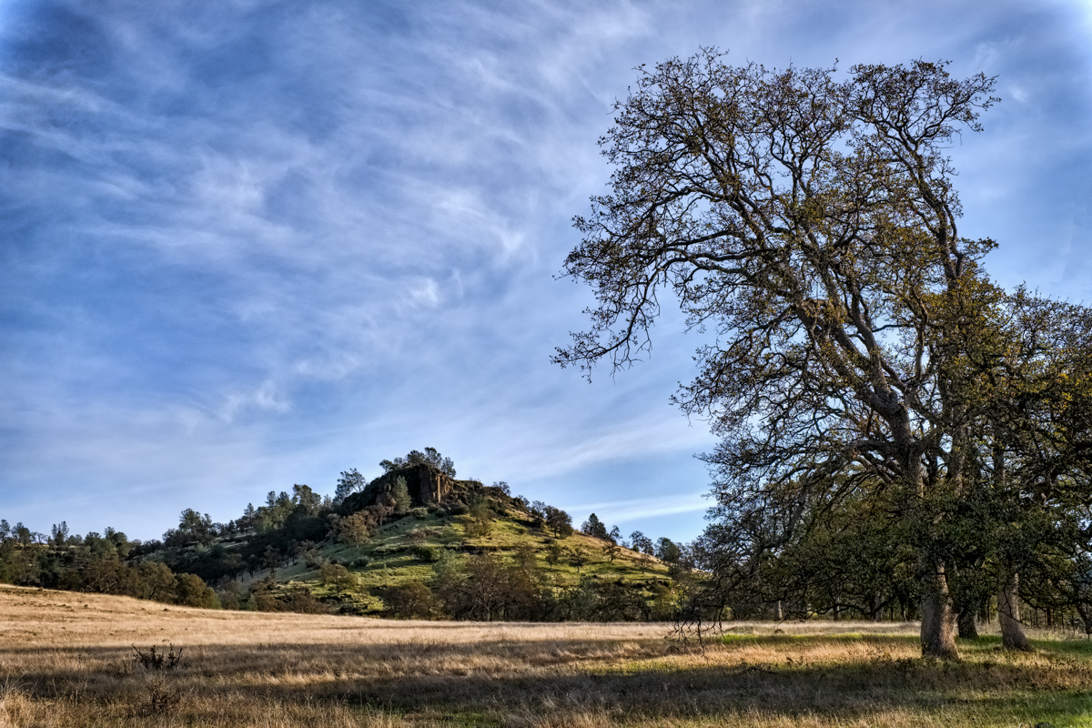 Thanksgiving in Butte County, CA FujiXForum